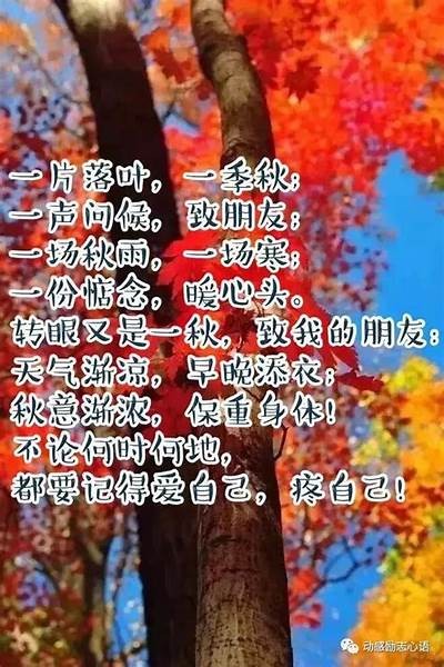 抖阴送秋波：感受秋意浓，传递情感温暖的完美配音！