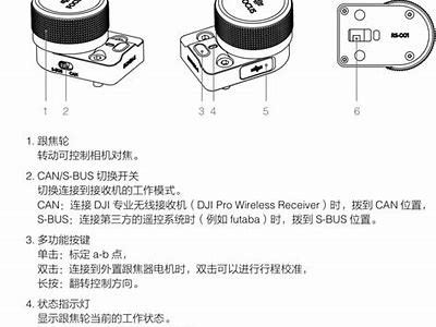探索dji8c抖阴：最新功能与使用技巧全解析
