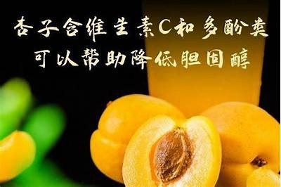 微杏抖阴：探索微杏的无与伦比魅力与实际使用价值