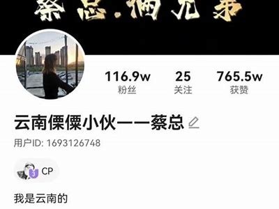 此抖音非彼：揭开短视频平台的真相与动向