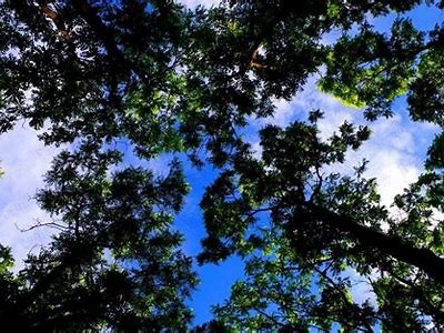 探索抖阴推荐链接：引领潮流的热门内容分享平台