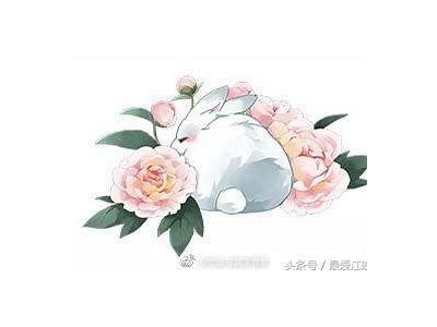 兔子抖阴视频：萌趣动漫带你领略可爱兔子的魅力