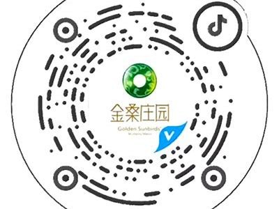 获取抖阴二维码，苹果用户必看下载指南