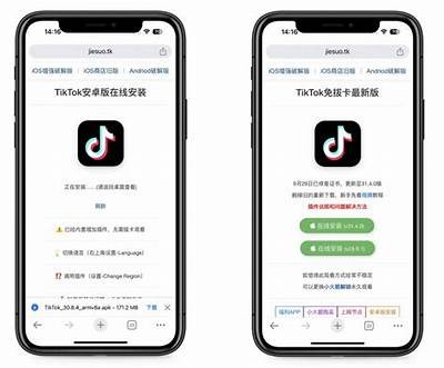 如何成功破解抖阴aqq 1.56版本的详细步骤与技巧