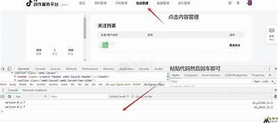 揭秘抖阴JS脚本：如何提升网络安全与使用体验